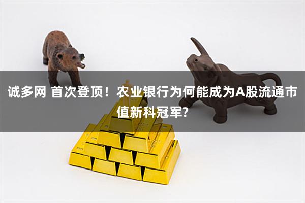 诚多网 首次登顶！农业银行为何能成为A股流通市值新科冠军?