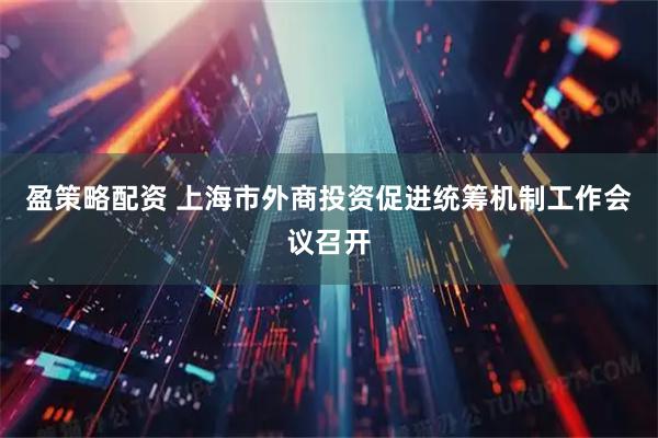 盈策略配资 上海市外商投资促进统筹机制工作会议召开