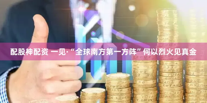 配股神配资 一见·“全球南方第一方阵”何以烈火见真金
